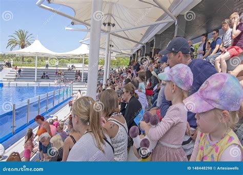 Dolphin Show Audience