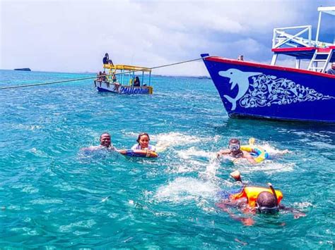 Dolphin Spotting Watamu