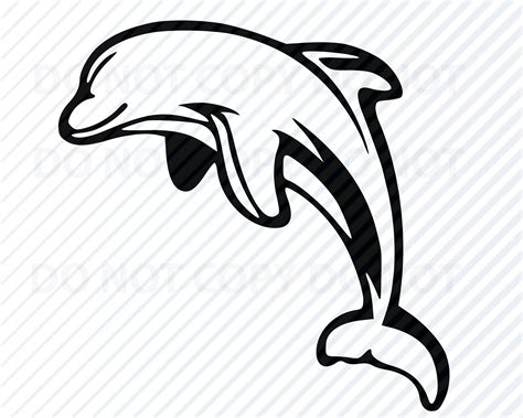 Discover the Magic of the Sea with a Majestic Dolphin SVG!