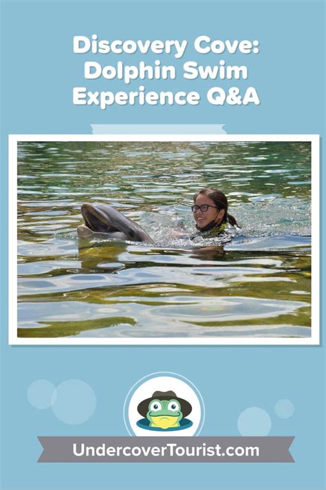 Dolphin Swim FAQ