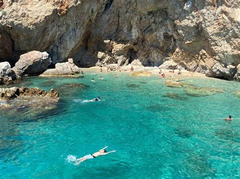 Dolphin Watching Alanya