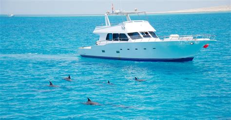 Dolphin Watching Tour Hurghada