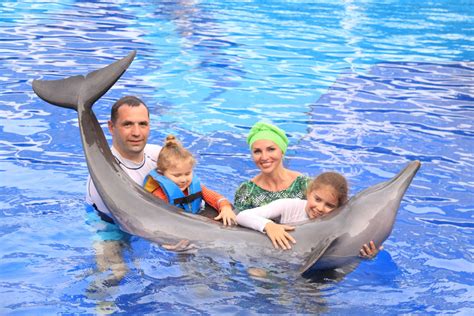 Dolphin interaction