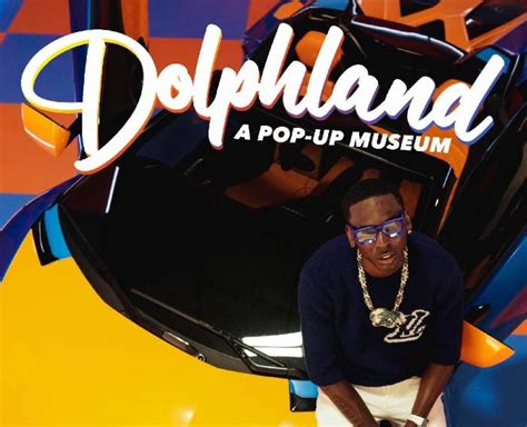 Dive into Dolphland's Enchanting World with the Best Pop-Up Museum Experience!