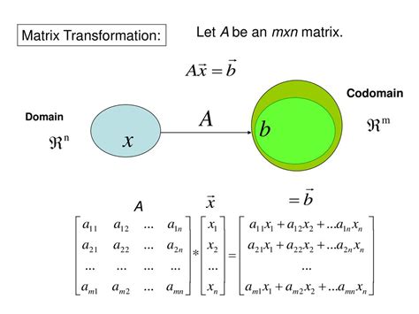 Domain And Codomain Of A Matrix Transformation