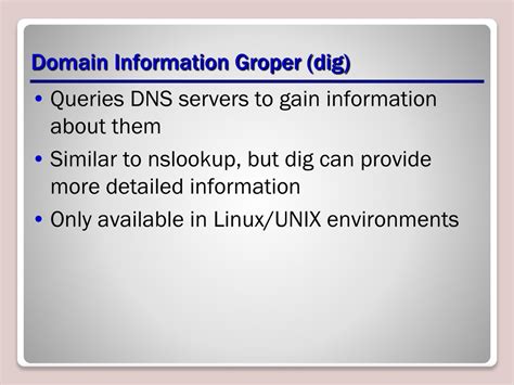 Domain Information Groper (DIG) Web Tools