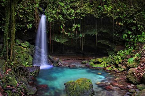 Dominica Emerald Pool