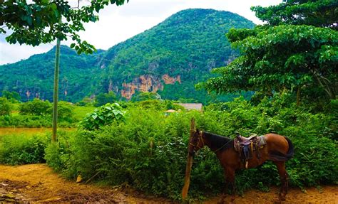 Dominican Countryside Life