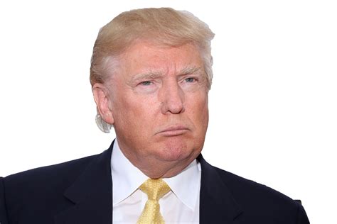 Donald Trump face