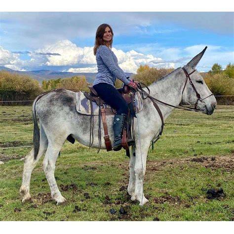Donkey Riding Tour