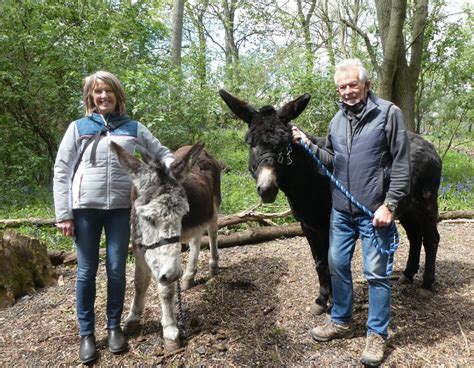 Donkey Walk Experience