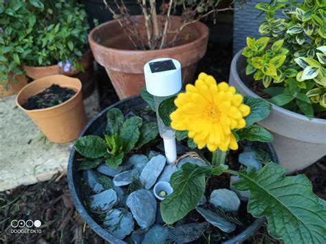 Doogee DK10 Camera samples