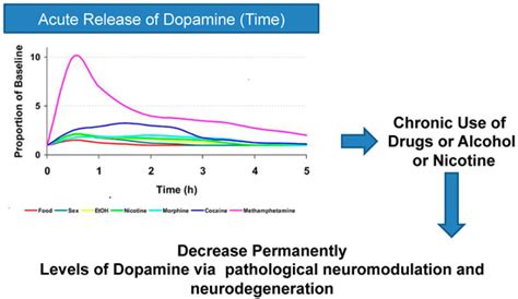 Dopamine Response Patterns Interactive Chart