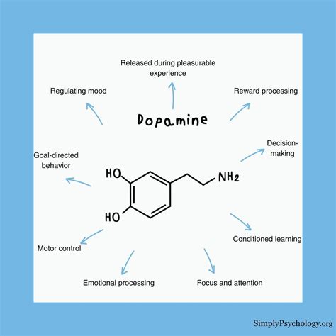Dopamine in higher learning