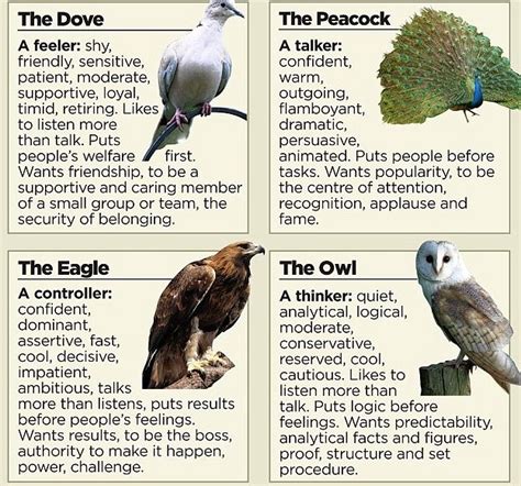 Dope Personality Test Dove