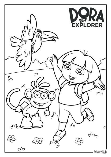 Dora Color