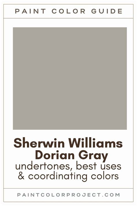 Transform Your Space with Dorian Grey Paint - Get Yours Today!