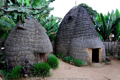 Dorze Tribe Huts