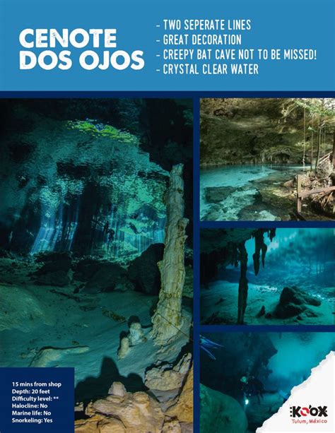 Dos Ojos Diving Tour