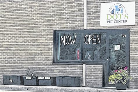 Dots Pet Store