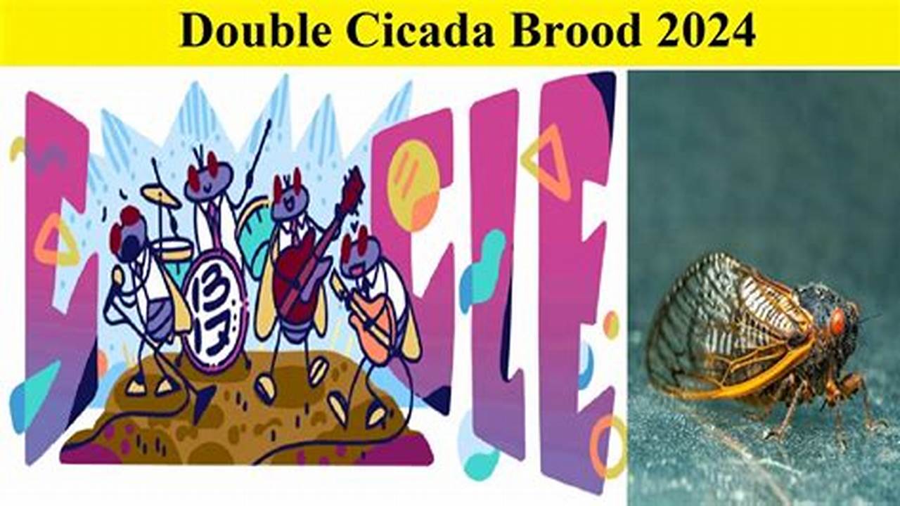 Double Cicada Brew Spring 2024 Where