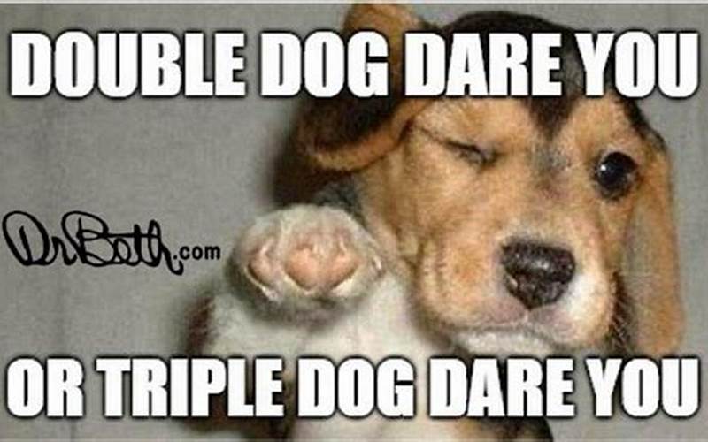 Double Dog Dare Meme