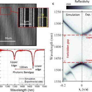 Double Period & Pregnancy: What Does It Mean?