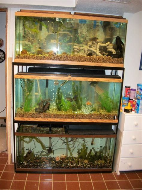 Double-Decker Aquarium Stand