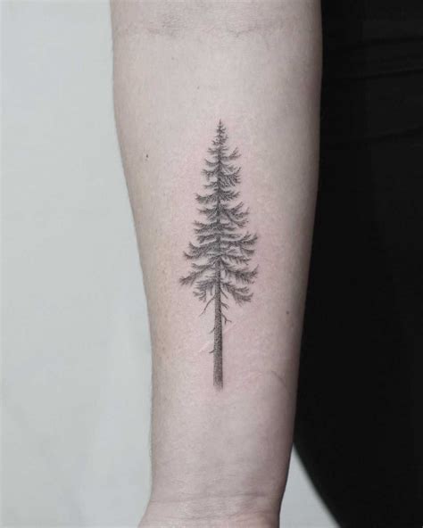 Douglas Fir Tattoo