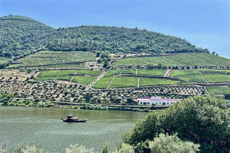 Douro Valley Custom Tour