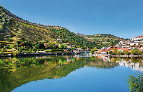 Douro Valley Guided Tour