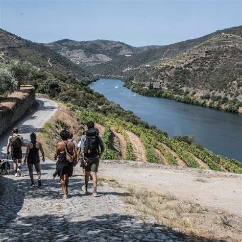 Douro Valley Hike