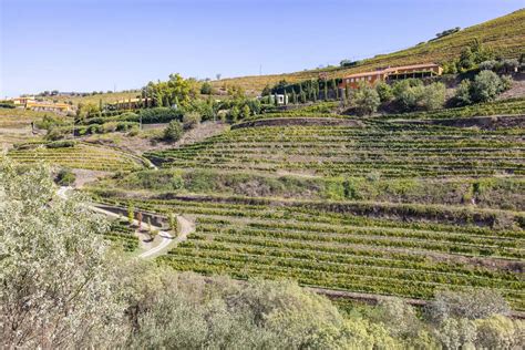 Douro Valley Quinta Visit