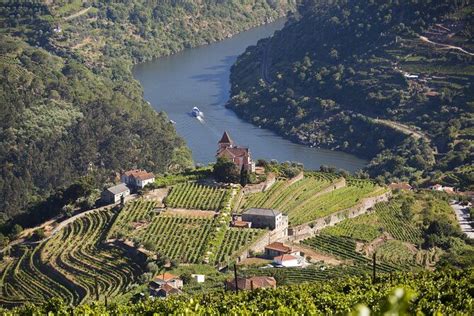 Douro Valley Tour Guide