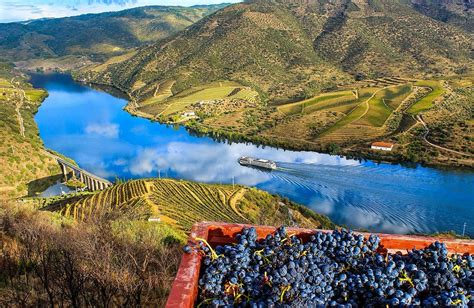 Douro Valley Tour Package