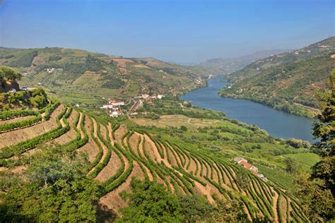 Douro Valley terraces