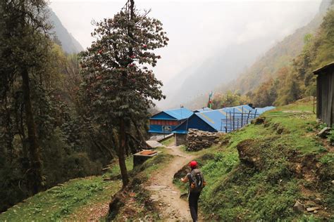 Dovan trekking route