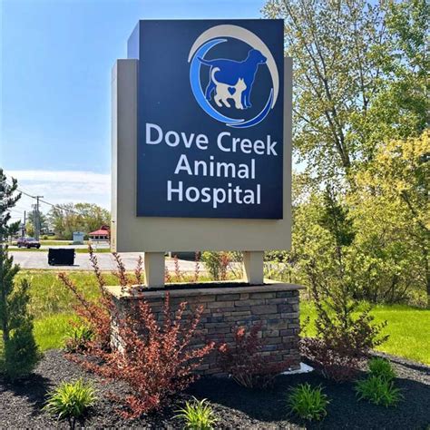 Top-Quality Animal Care at Dove Creek Animal Hospital in Amsterdam, NY - A Trusted and Reliable Veterinary Clinic for Your Furry Friends.