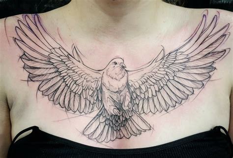 Dove Tattoo Outline