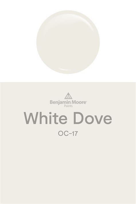 Dove White: A Timeless Paint Shade for Elegance and Coziness