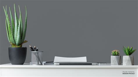 Download Standard Zoom Virtual Background