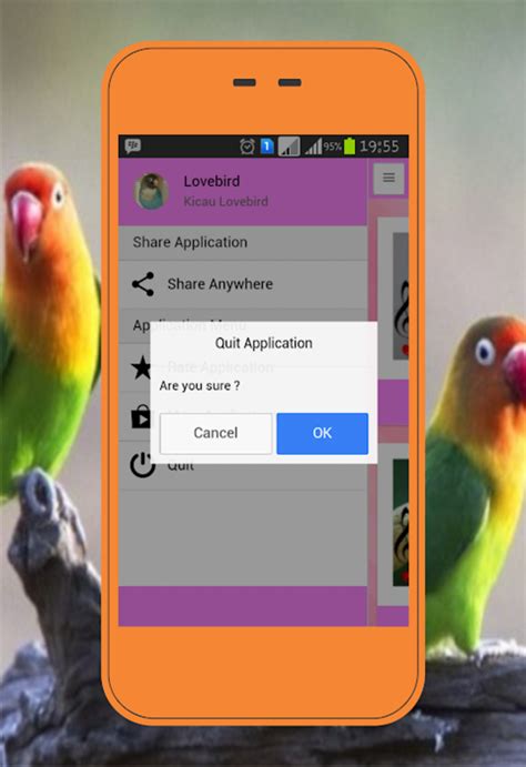 Download Video Lovebird