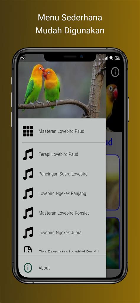 Download Video Masteran Lovebird