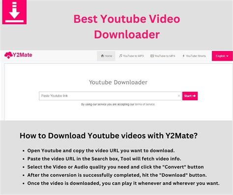 Download a Video With a Downloader Tool