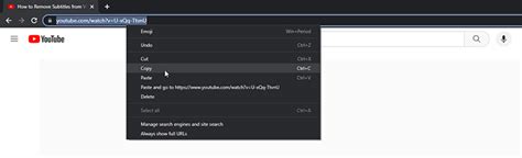 Download only audio from youtube video using youtube-dl in python