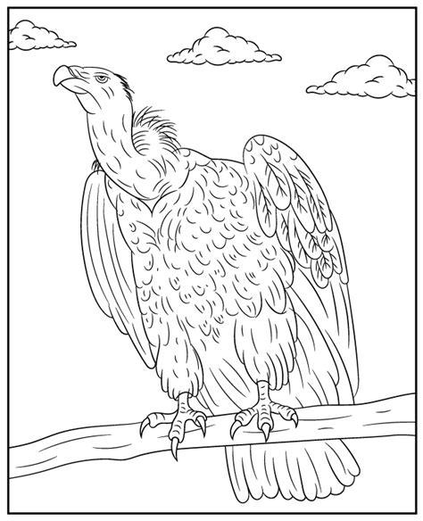 Downloadable Vulture Coloring Pages vs Coloring Books