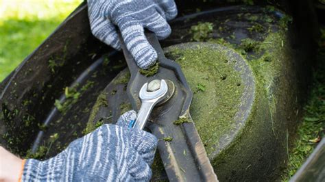 Downsides Keep in Mind