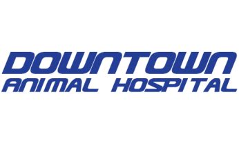 Downtown Animal Hospital in Lake Charles, LA: Top Quality Veterinary Care for Your Furry Friends.
