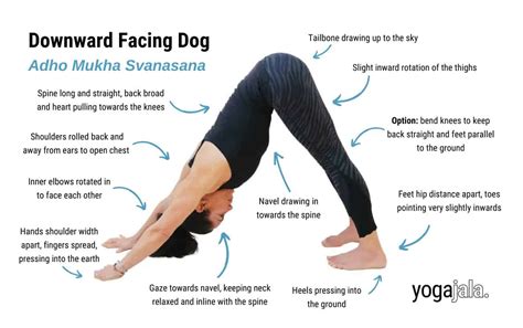Downward Facing Dog Back Pain