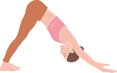 Downward Facing Dog Pose Vector